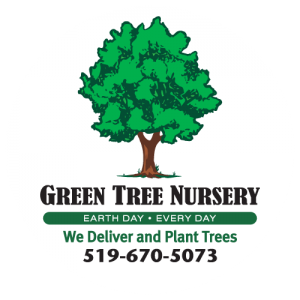 Green Tree Nursery Inc.